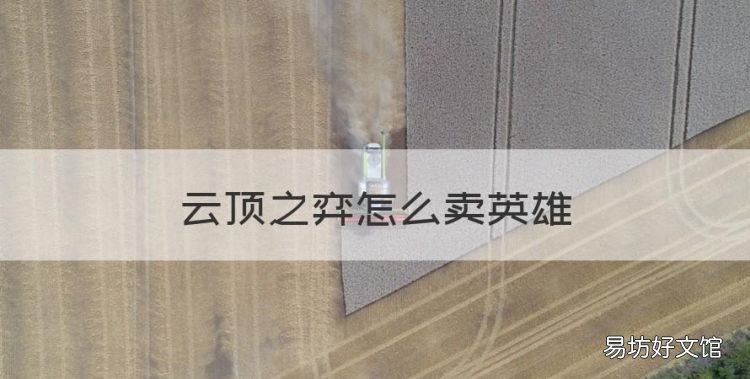 云顶之弈怎么卖英雄，云顶之弈怎么玩儿新手