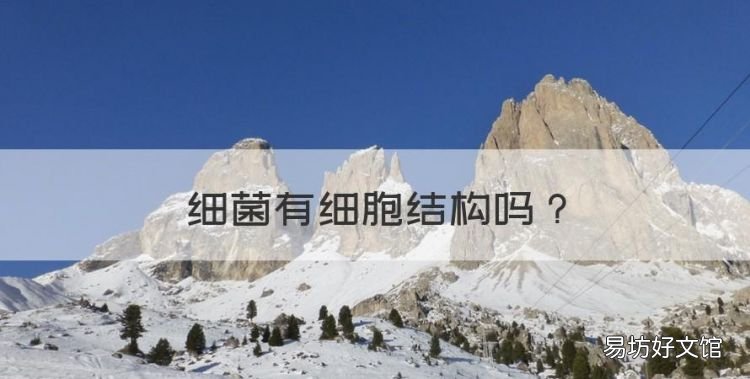 细菌有细胞结构