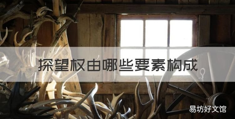 探望权由哪些要素构成,民法典离婚后探视权法律是怎么规定的