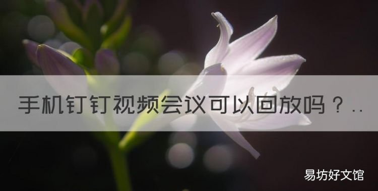手机钉钉会议可以回放,老师发起的钉钉会议可以看回放吗