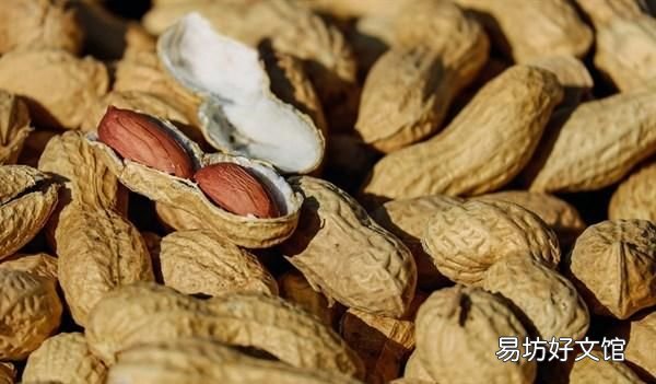 土豆大蒜发芽了怎么吃 发芽的土豆大蒜生姜还能吃吗