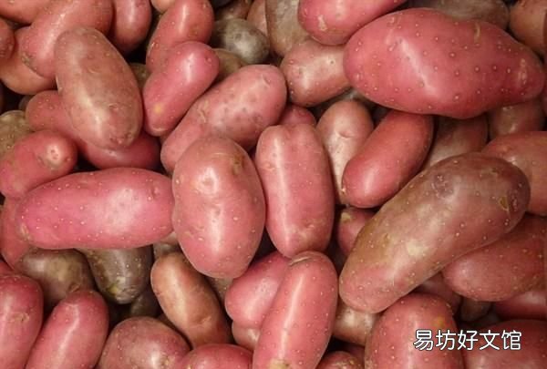 土豆大蒜发芽了怎么吃 发芽的土豆大蒜生姜还能吃吗