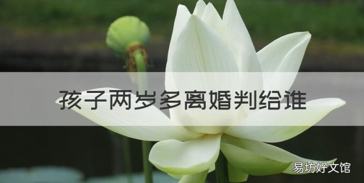 孩子两岁多离婚判给谁,孩子两岁半离婚会判给谁 案例