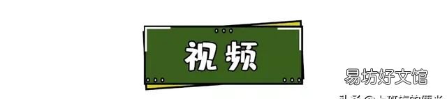 家庭版牛肉汤简单做法,家庭版的牛肉汤怎么做
