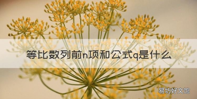 等比数列前n项和公式,等比数列前n项和公式q是什么