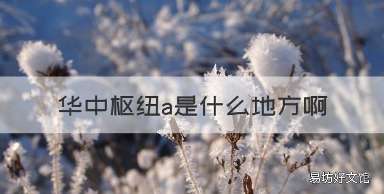 华中枢纽a是什么地方,华中枢纽到广东要多久