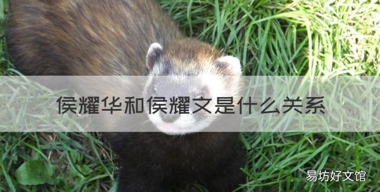 侯耀华和侯耀文是什么关系,侯耀文和侯耀华是亲兄弟吗