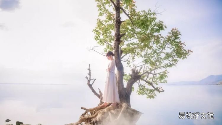 物极必反是什么意思,过犹不及,物极必反是什么意思
