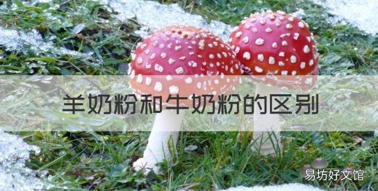 羊奶粉和牛奶粉的区别