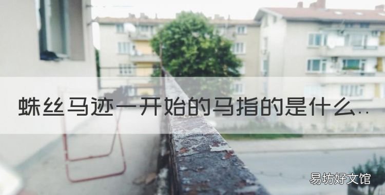 蛛丝马迹一开始的马指的是什么