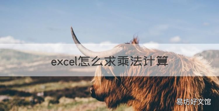 excel怎么乘法计算，excel表格乘法计算公式