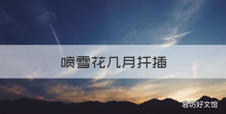 喷雪花几月扦插,蓝雪花可不可以扦插