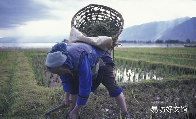 劳动节的节俗:一年之计在于春,一生之计在于勤