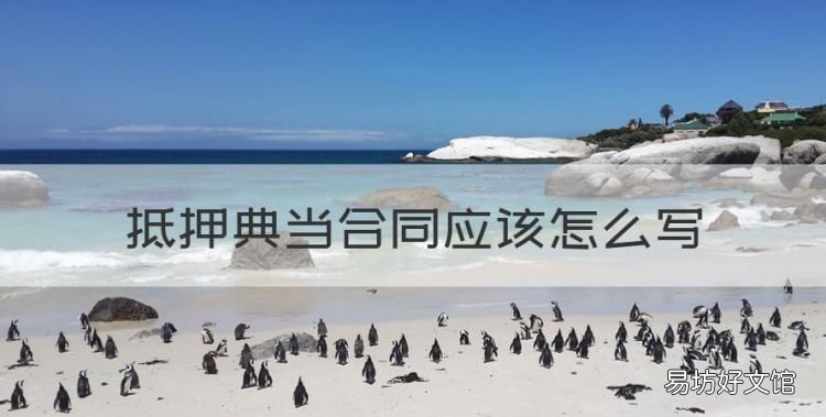 抵押合同怎么写的,抵押典当合同应该怎么写
