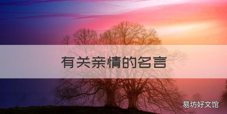 亲情的名言,有关亲情的名言