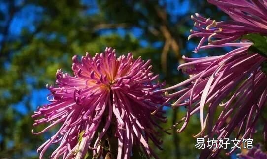 努?上进的经典语录 激励学习的名人名言