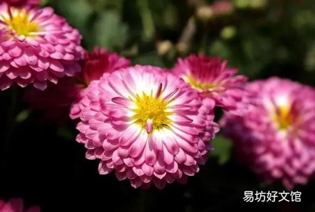 努?上进的经典语录 激励学习的名人名言