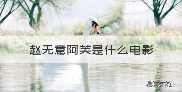 赵无意阿芙是什么电影,睡美人讲述了什么道理