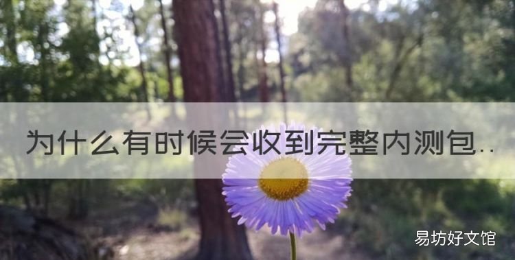 为什么有时候会收到完整内测包