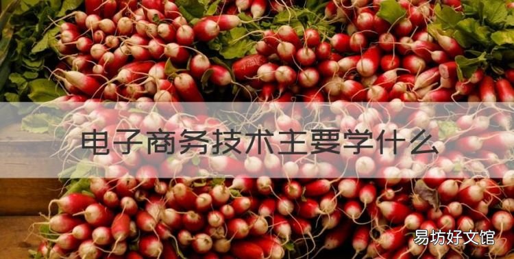 电子商务技术主要学什么，电子商务专业主要学什么