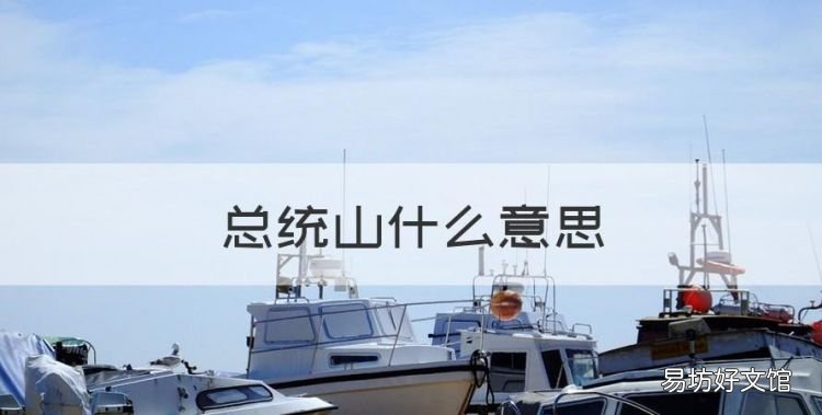 总统山什么意思，美国的标志性建筑物是什么