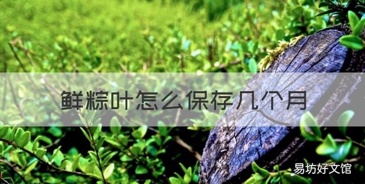 新鲜粽叶怎么保存好,鲜粽叶怎么保存几个月