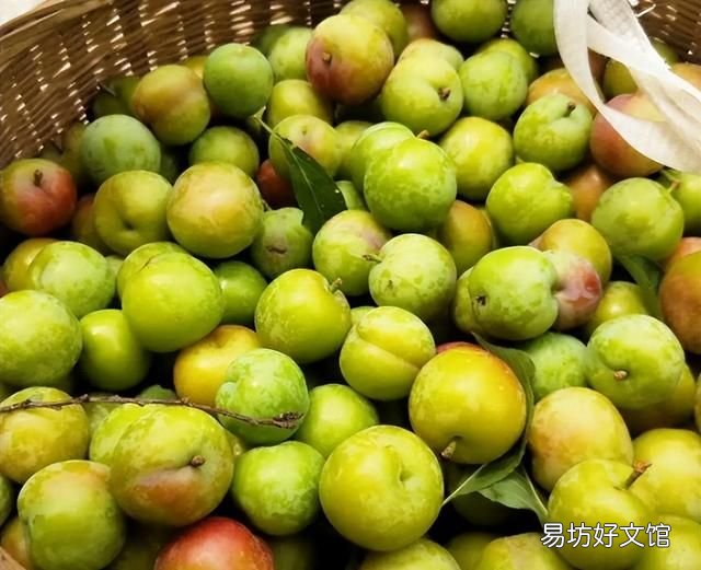 南方有哪些水果 南方人最爱吃的6种水果，杨桃上榜，看完一点都不像南方人