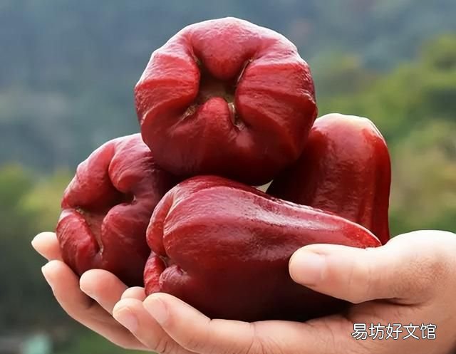 南方有哪些水果 南方人最爱吃的6种水果，杨桃上榜，看完一点都不像南方人