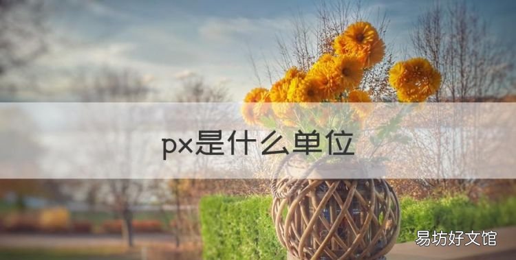 px是什么单位