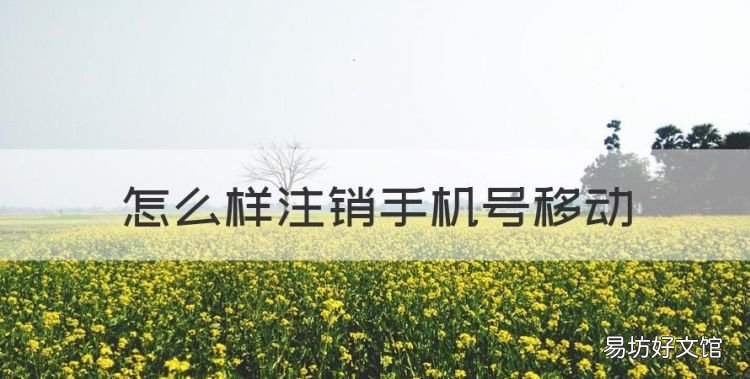 移动手机卡怎么注销，怎么样注销手机号移动