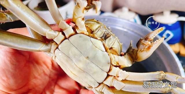 大闸蟹怎么保鲜存活:保存螃蟹时,万不可直接放冰箱,老渔民教我一招