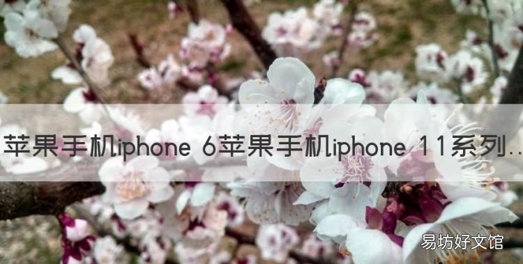 苹果手机iphone 6苹果手机iphone 系列充电器一样