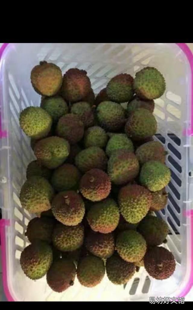 南方水果大全,现在南方什么水果最好吃