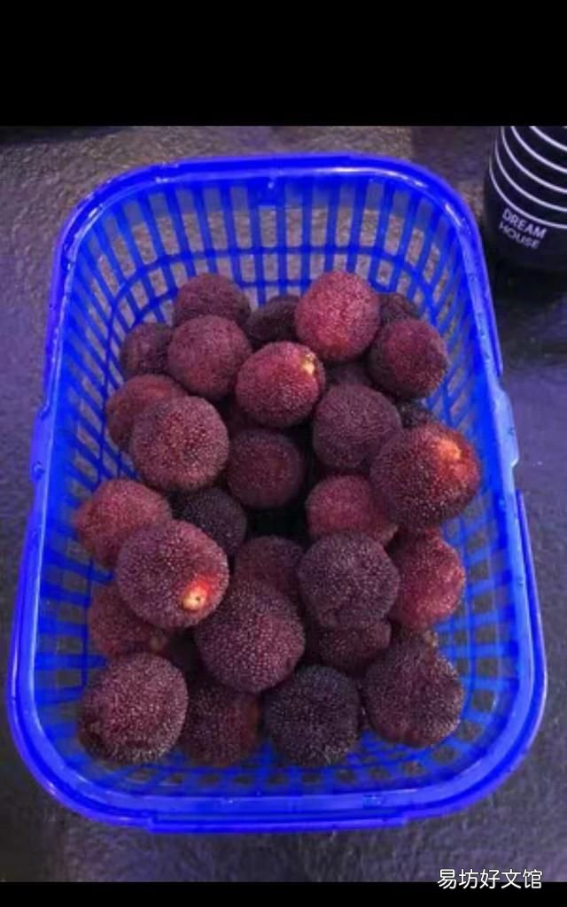 南方水果大全,现在南方什么水果最好吃