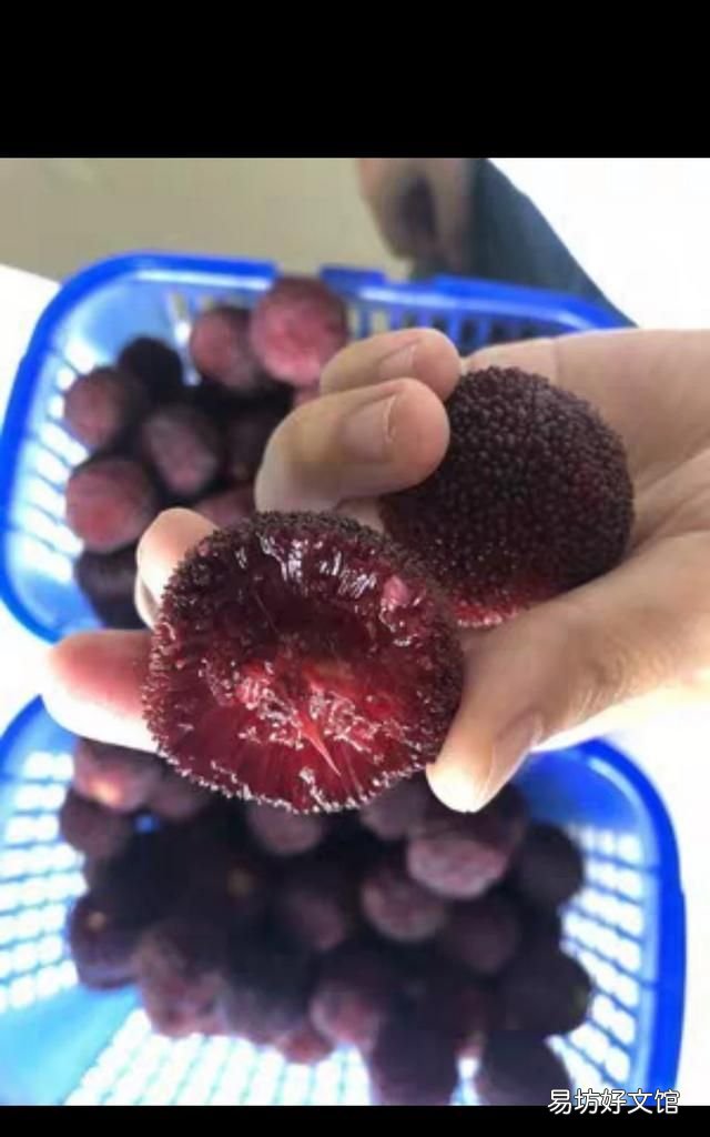 南方水果大全,现在南方什么水果最好吃