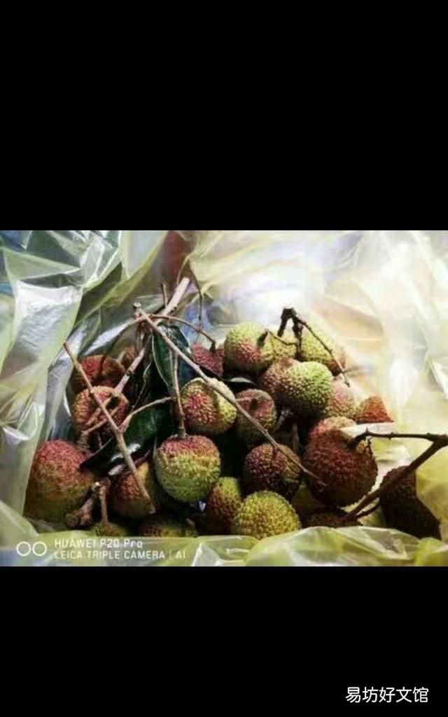 南方水果大全,现在南方什么水果最好吃