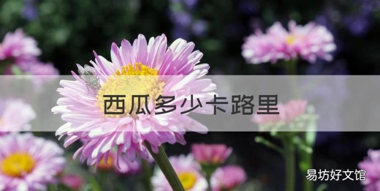 西瓜的热量，西瓜多少卡路里