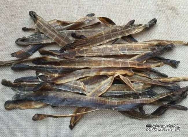 暴利背后隐藏着致命的风险 在家捕捉蚯蚓挣钱靠谱吗