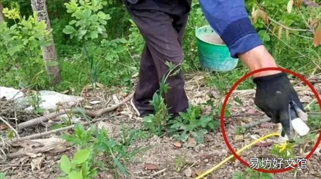 暴利背后隐藏着致命的风险 在家捕捉蚯蚓挣钱靠谱吗