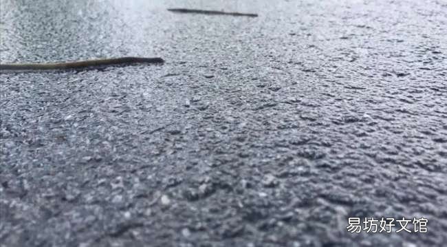 暴利背后隐藏着致命的风险 在家捕捉蚯蚓挣钱靠谱吗