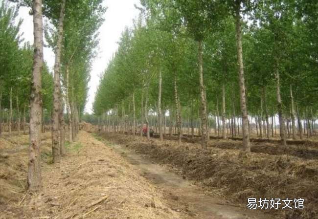 暴利背后隐藏着致命的风险 在家捕捉蚯蚓挣钱靠谱吗