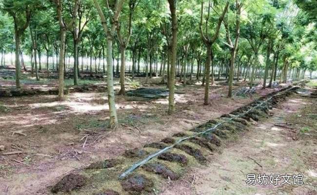暴利背后隐藏着致命的风险 在家捕捉蚯蚓挣钱靠谱吗