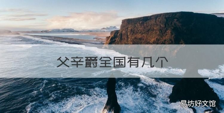 西周父辛爵价值,父辛爵全国有几个
