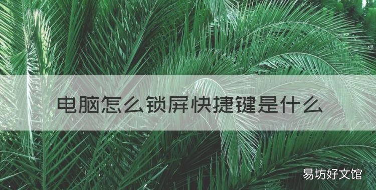 电脑快捷锁屏键是哪个键,电脑怎么锁屏快捷键是什么