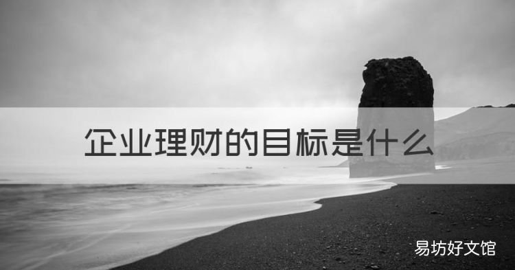 企业理财的目标是什么,简述企业的有代表性的理财目标有哪些