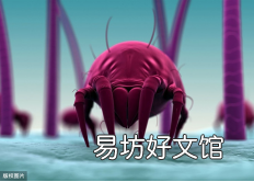 简述蚕丝被的5种好处 蚕丝被的功效与作用