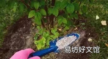 氮肥,磷肥,钾肥,你所不知道的作用是什么,氮肥磷肥钾肥你所不知道的作用