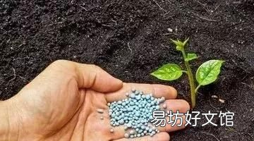 氮肥,磷肥,钾肥,你所不知道的作用是什么,氮肥磷肥钾肥你所不知道的作用