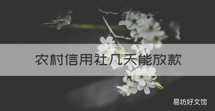 农村信用社几天能放款,农村信用贷款逾期多久会起诉