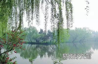 收藏 100种花的花语大全，100种花的花语太全了